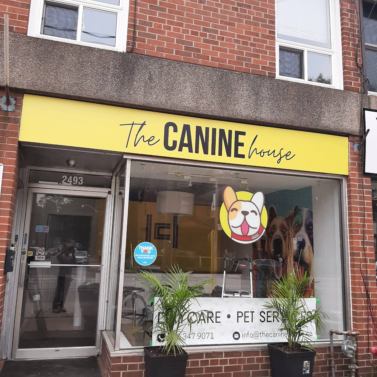 The Canine House storefront sign and window graphics completed by Denton Design.